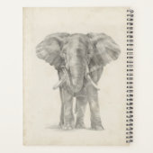 Croquis éléphant (Dos)