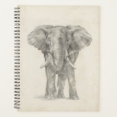 Croquis éléphant (Devant)