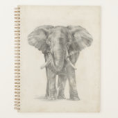 Croquis éléphant (Devant)