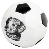 Croquis en tête de canine (3/4)