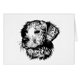 Croquis en tête de canine