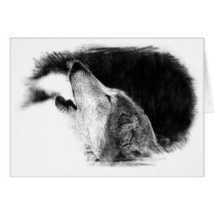 Croquis noir et blanc Loup gris