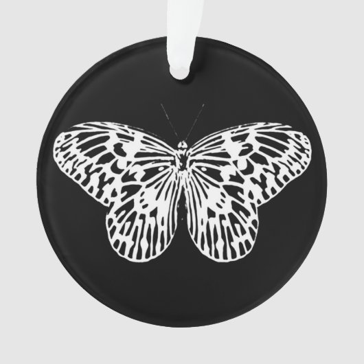 Croquis papillon, blanc et noir (devant)