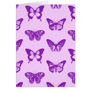 Croquis papillon, rose orchidée et violet