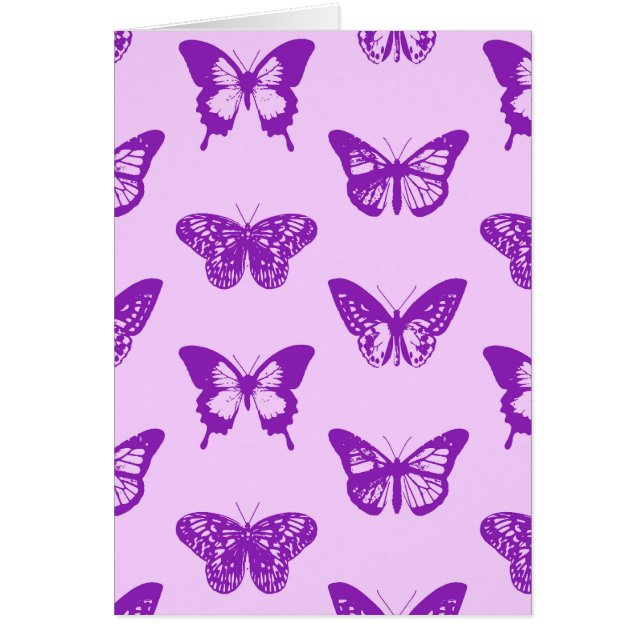 Croquis papillon, rose orchidée et violet (Devant)