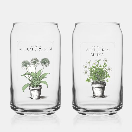 Croquis rustique d'ail sauvage par CallisC Arts ⭐  (Recto)