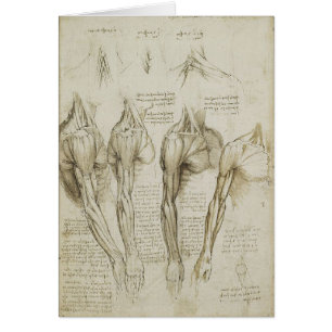 Croquis squelettiques humains de l'anatomie de da
