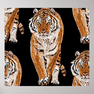 Croquis sur le tigre du Bengale : Poster de animal