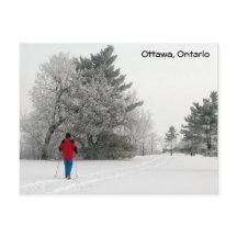 Cross-country Skiing op een kikkerende dag