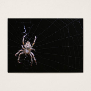 Cross Spider ~ ATC Visitekaartje