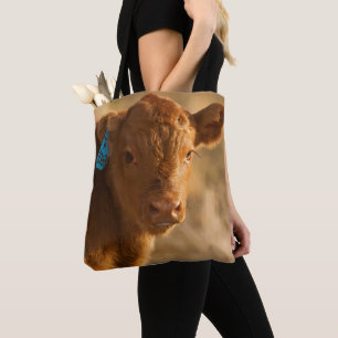 Crossbred Calf Draagtas