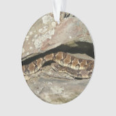 Crotale dans le parc national de Shenandoah (devant)