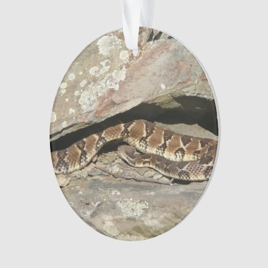 Crotale dans le parc national de Shenandoah (devant)