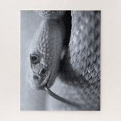Crotale venimeuse en Monochrome, Puzzle de Jigsaw (Vertical)