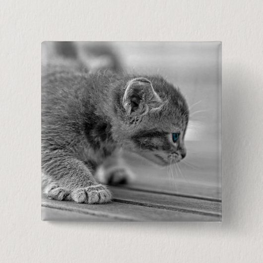 Crouching Kitten Vierkante Button 5,1 Cm (Voorkant)