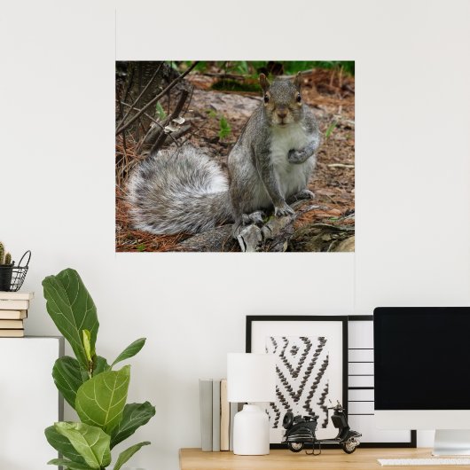 Crouching Squirrel Poster (Thuiskantoor)