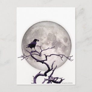 Crow and Moon Raven Fantasy Gothic Night Briefkaart