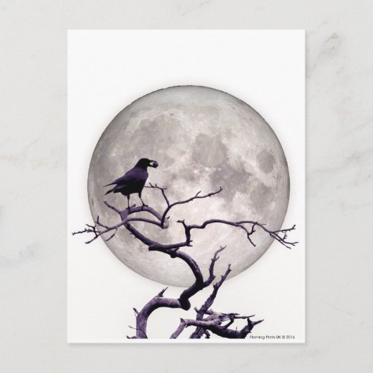 Crow and Moon Raven Fantasy Gothic Night Briefkaart (Voorkant)
