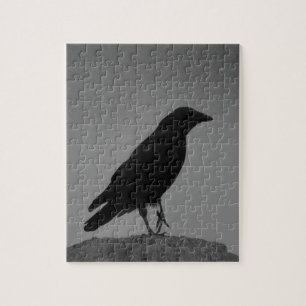 Crow and the Night Stars Legpuzzel
