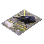 Crow at the Crossroad Notitieboek (Linkerzijde)