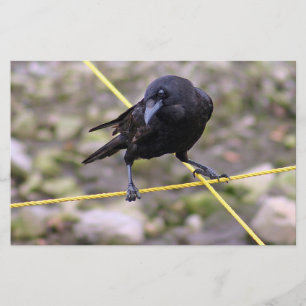 Crow bij Crossroad Briefpapier