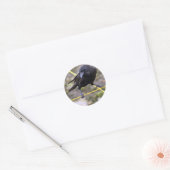Crow bij Crossroad Ronde Sticker (Envelop)