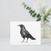 Crow Briefkaart (Staand voorkant)