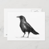 Crow Briefkaart (Voorkant / Achterkant)