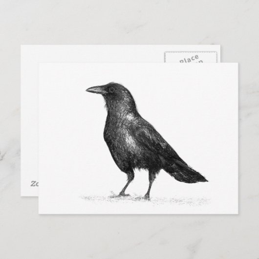 Crow Briefkaart (Voorkant / Achterkant)