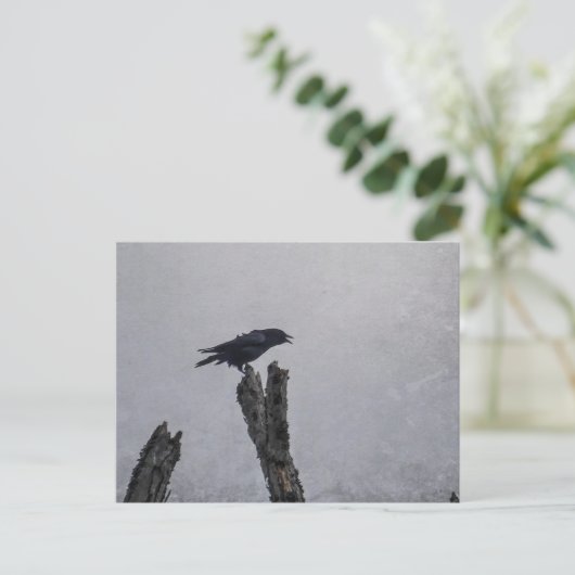 Crow Briefkaart (Staand voorkant)