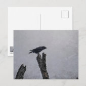 Crow Briefkaart (Voorkant / Achterkant)