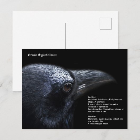 Crow Briefkaart (Voorkant / Achterkant)