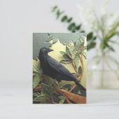 Crow Briefkaart (Staand voorkant)