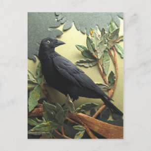 Crow Briefkaart