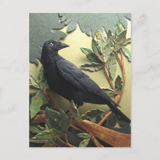 Crow Briefkaart (Voorkant)