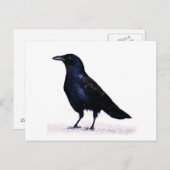 Crow Briefkaart (Voorkant / Achterkant)