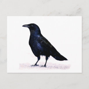Crow Briefkaart