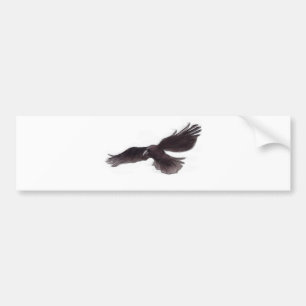 Crow Bumpersticker