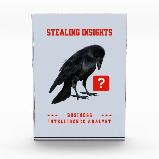 Crow Business Intelligence Analist Fotoblokken (Voorkant)