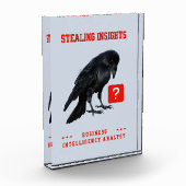 Crow Business Intelligence Analist Fotoblokken (Links)