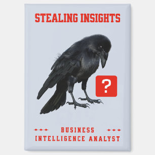 Crow Business Intelligence Analist Magneet