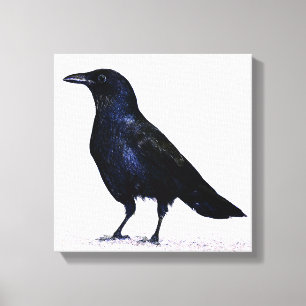 Crow Canvas Afdruk