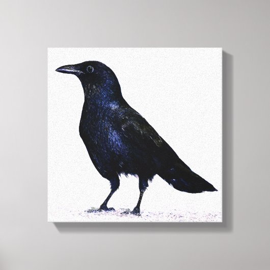 Crow Canvas Afdruk (Voorkant)
