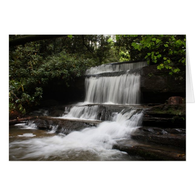 Crow Creek Herfsten (Voorkant Horizontaal)