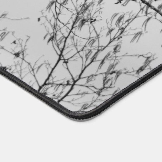 Crow dans un Birch Tree (Coin)