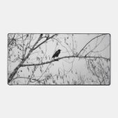 Crow dans un Birch Tree (Recto)