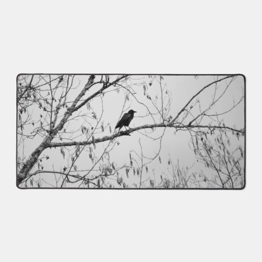 Crow dans un Birch Tree (Recto)