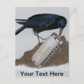 Crow en Harmonica Briefkaart (Voorkant)
