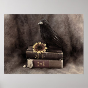 Crow  Gothic Old Books Sunflower Poster