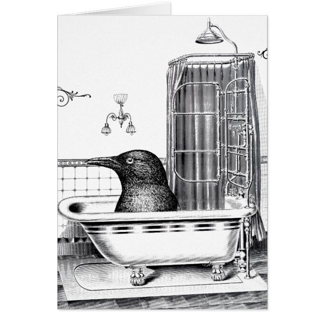 Crow in  Bath Tub (Voorkant)